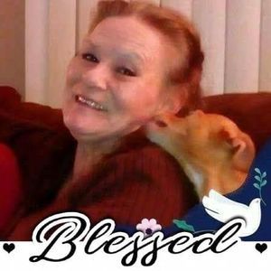 Meet your Posher, Sandi